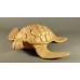 Biodegradable Cremation Ashes Urn – TURTLE 
